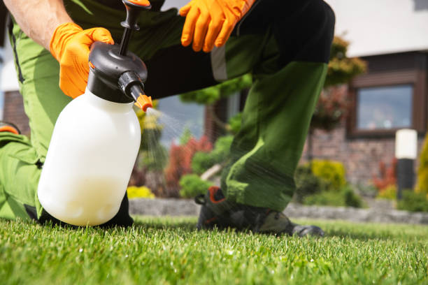 Best Residential Pest Control  in Big Spring, TX